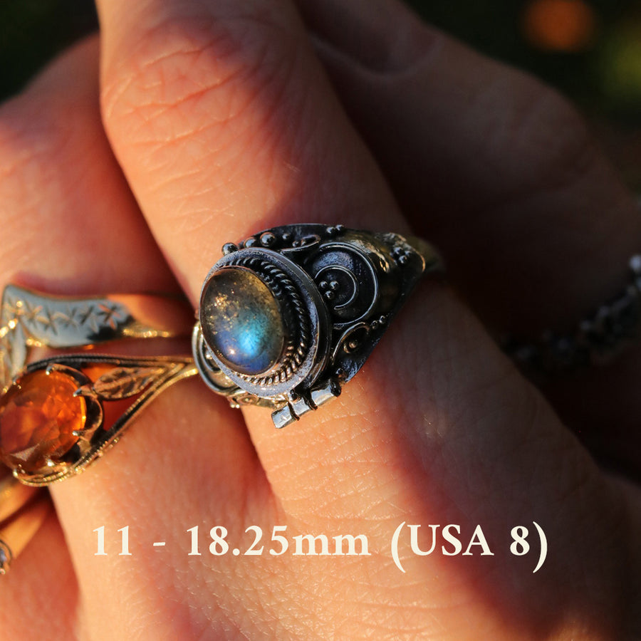 Elder Labradorite Poison Box Ring