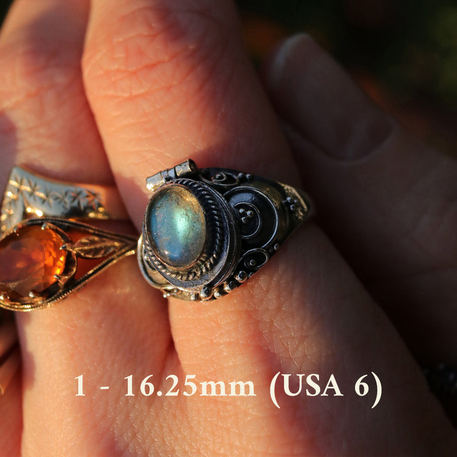 Elder Labradorite Poison Box Ring