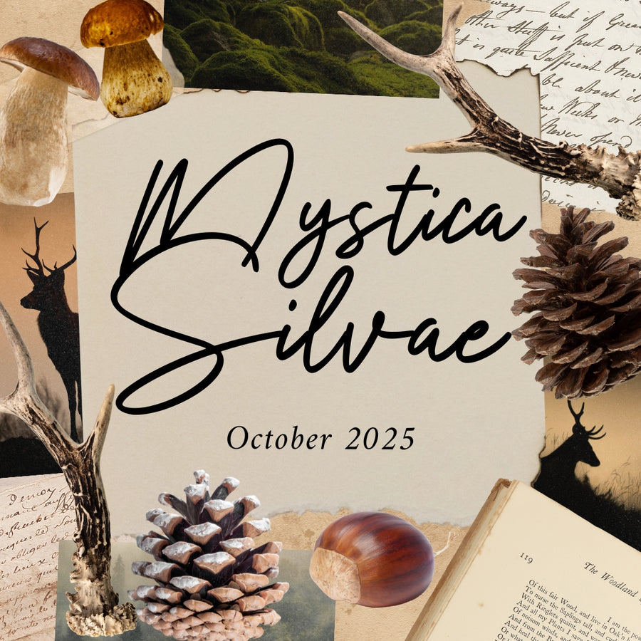 WAITLIST 2025 - Mystica Silvae