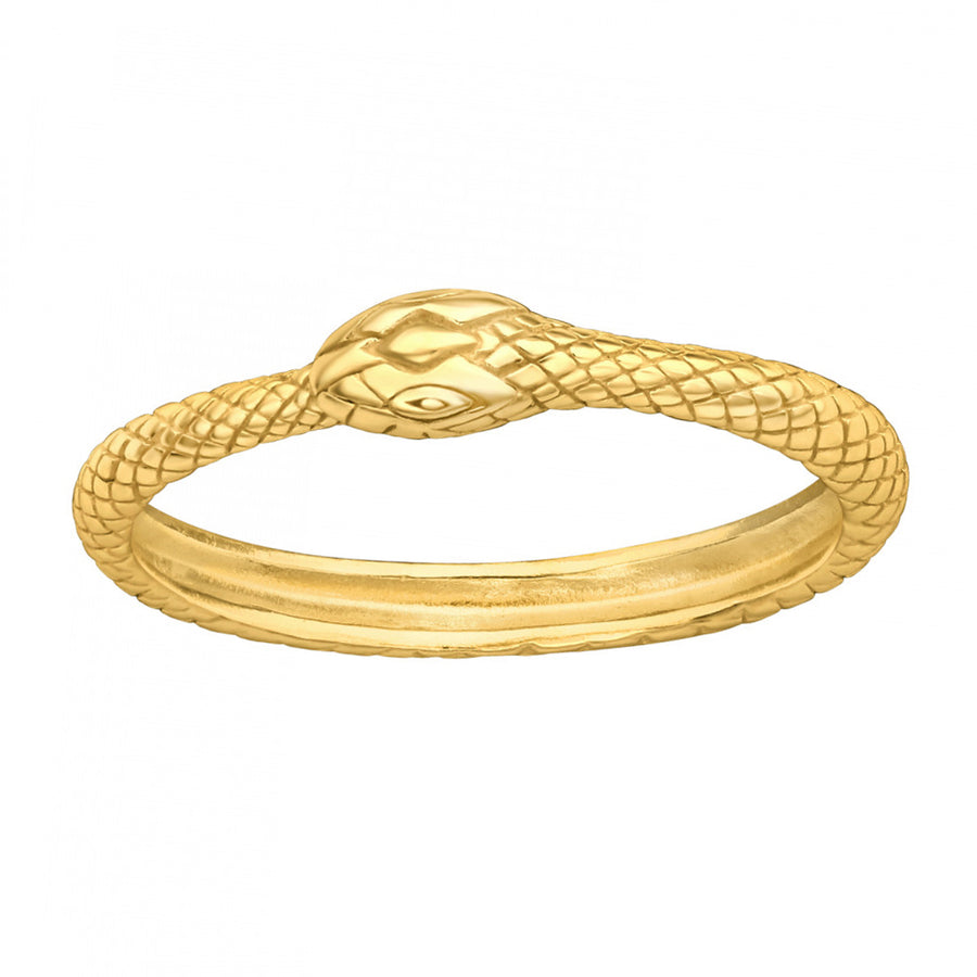 PRE-ORDER | Ouroboros Gold Ring